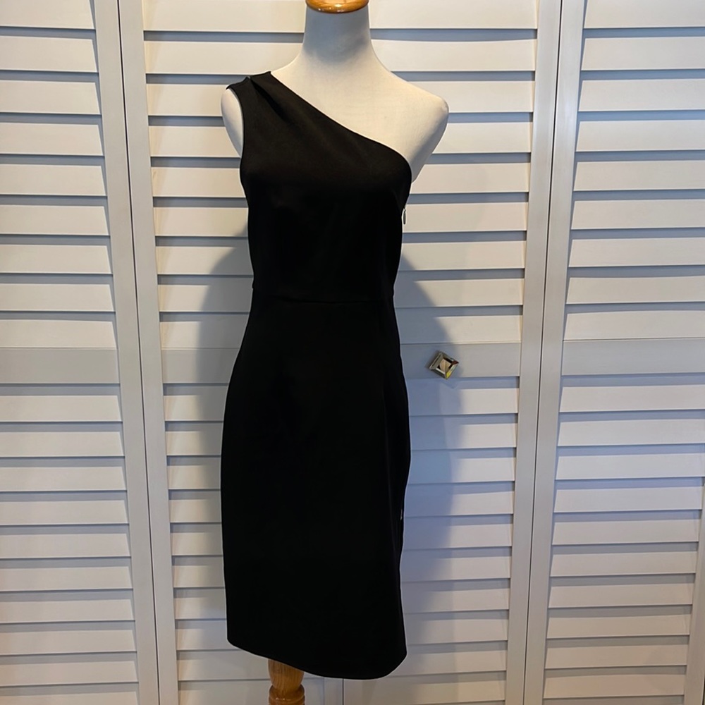 Express One Shoulder NWOT Dress with Side Zipper and lined! - Picture 1 of 11